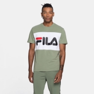 Fila Day Tee grün