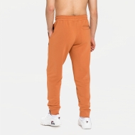 Fila Savir Sweat Pants hazel Bild 2
