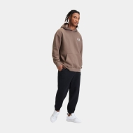 Fila LEOBEN hoody Taupe Bild 3