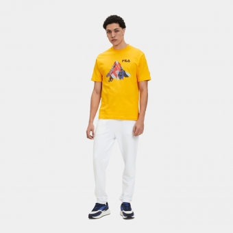 Fila Regular fit short sleeves t-shirt with mountain