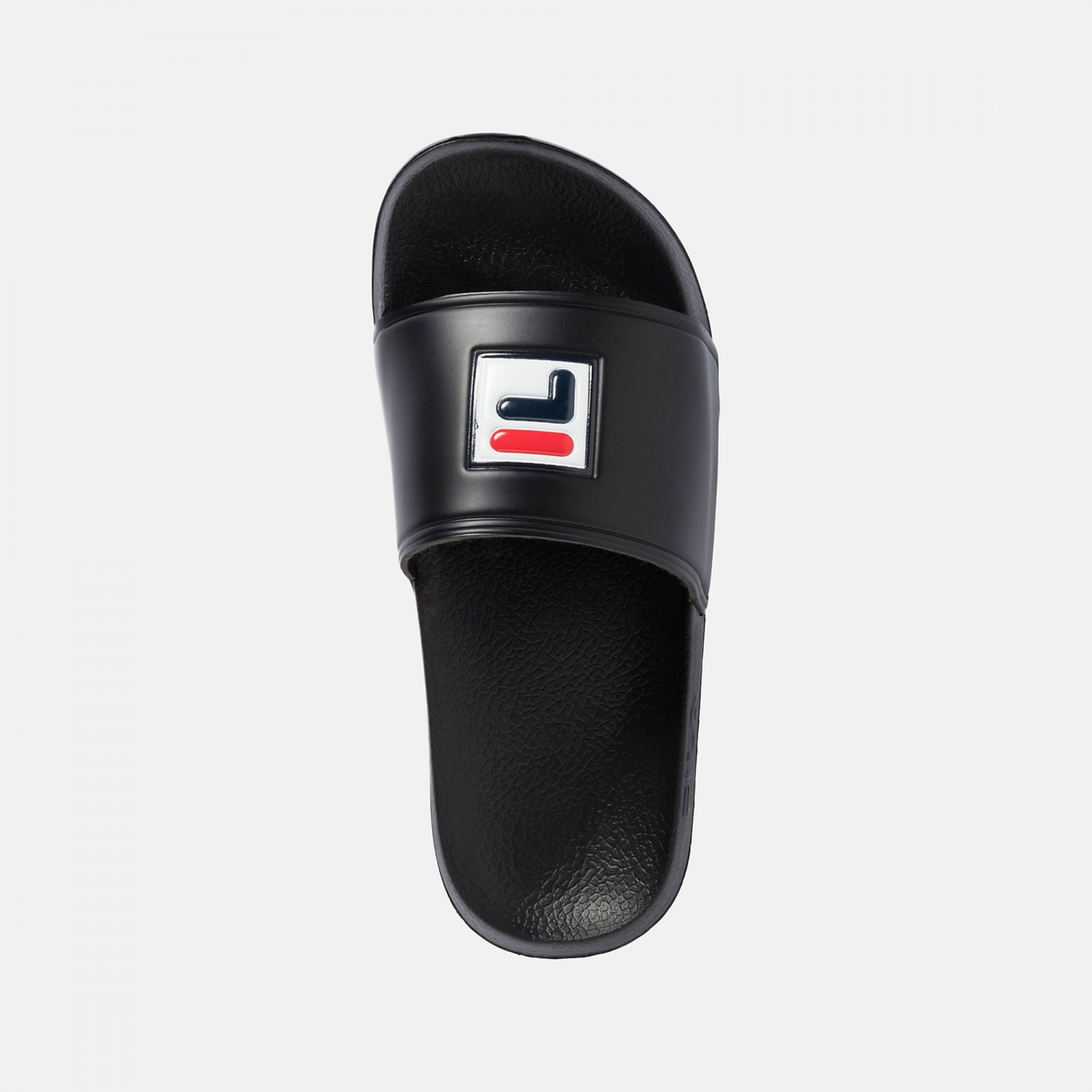 fila palm
